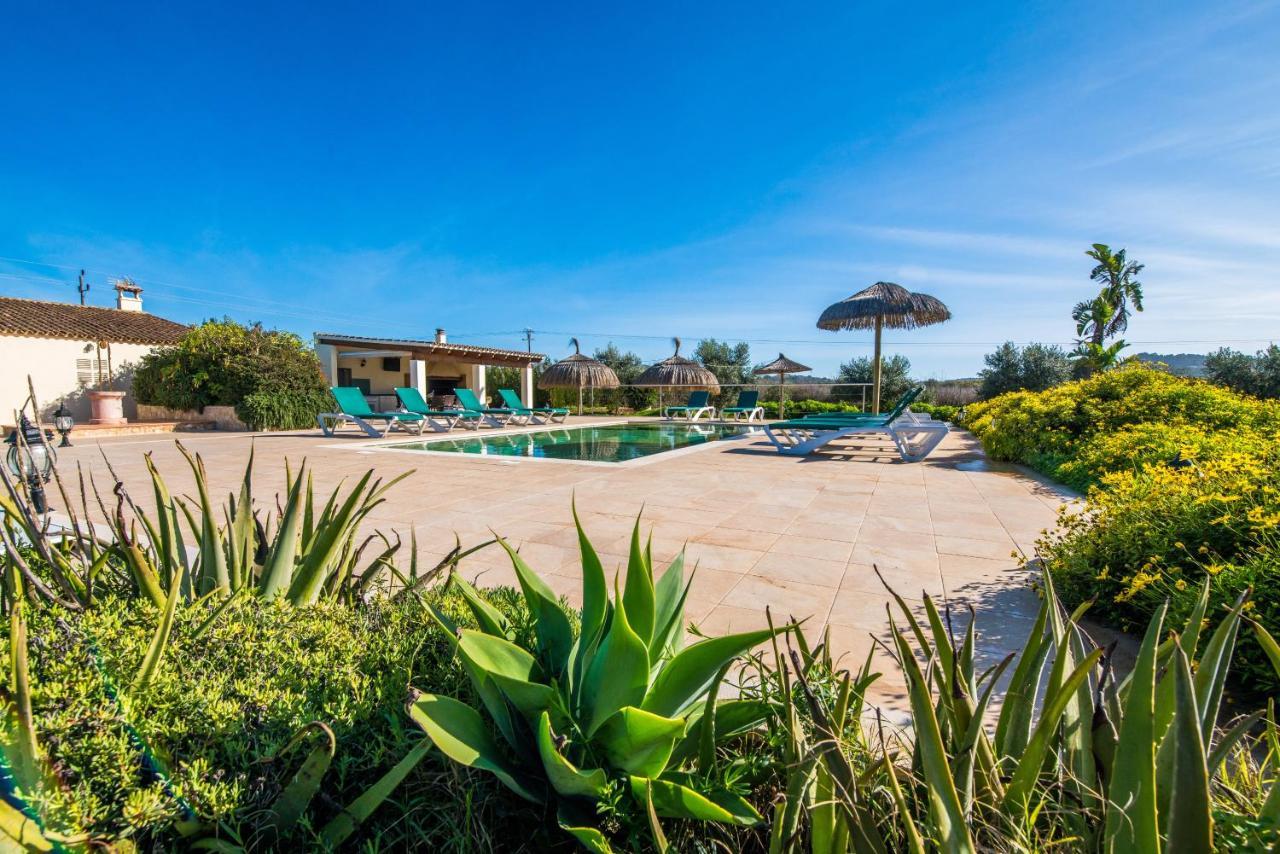 Finca Cas Padrins Manacor  Buitenkant foto
